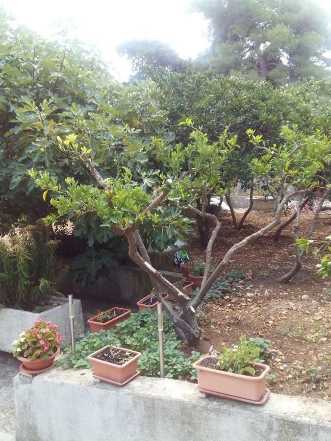 Manda Ljubetic Διαμέρισμα Sutivan Εξωτερικό φωτογραφία