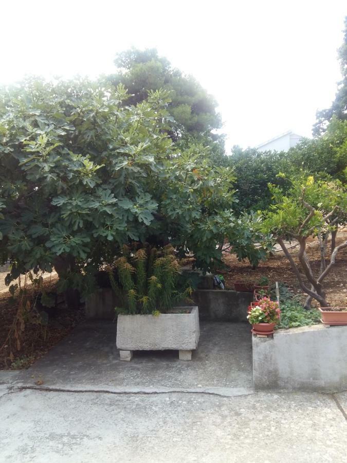 Manda Ljubetic Διαμέρισμα Sutivan Εξωτερικό φωτογραφία