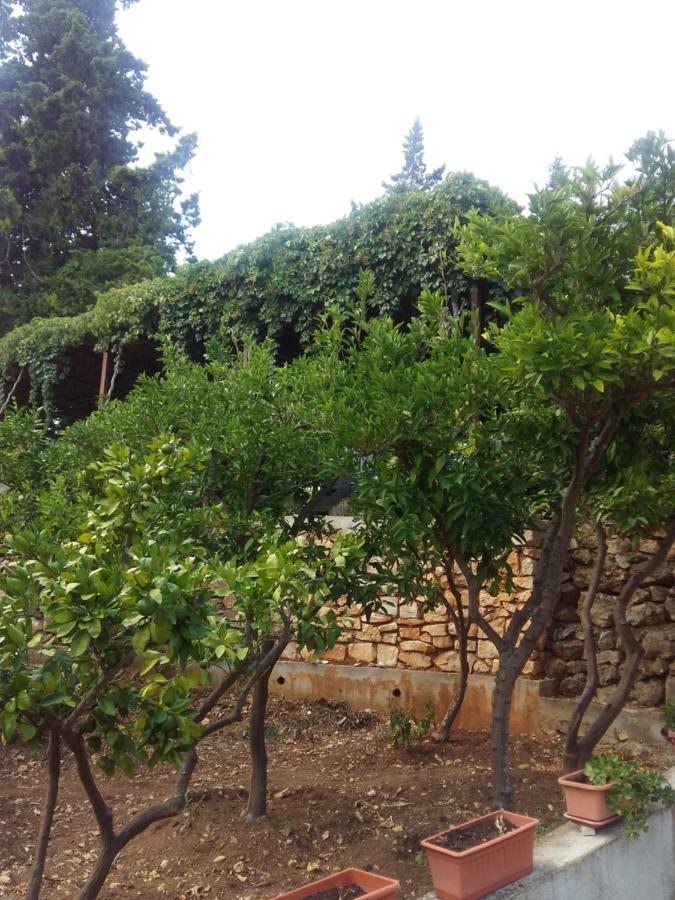 Manda Ljubetic Διαμέρισμα Sutivan Εξωτερικό φωτογραφία