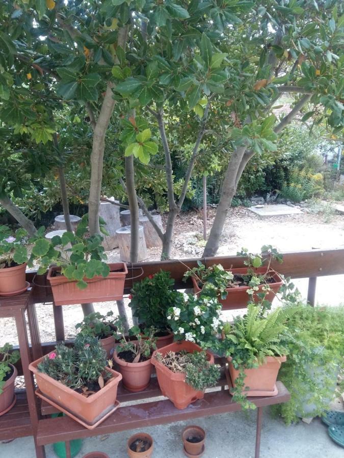 Manda Ljubetic Διαμέρισμα Sutivan Εξωτερικό φωτογραφία